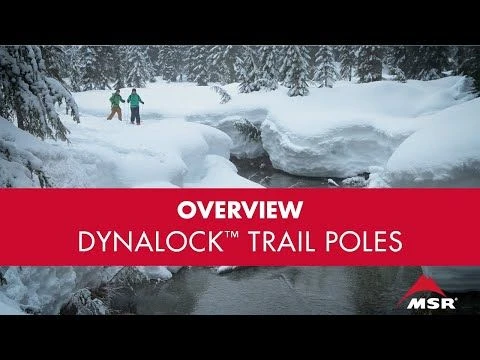 MSR DynaLock Trail Backcountry Trekking Poles - Image 3